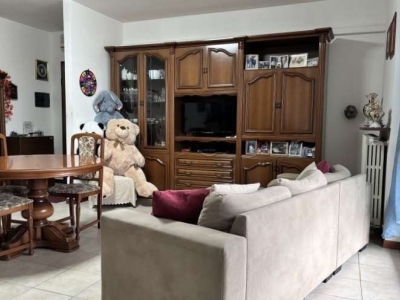 immagine annuncio 1 di 9