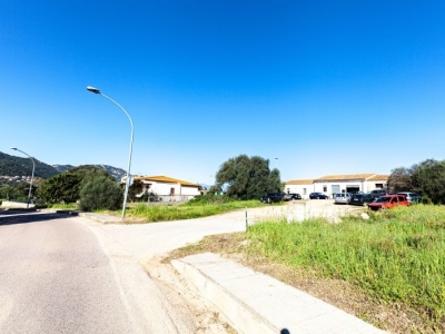 immagine annuncio 5 di 9
