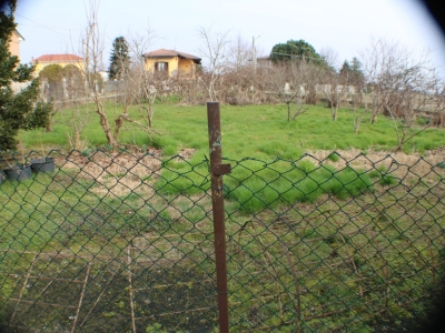 immagine annuncio 3 di 9