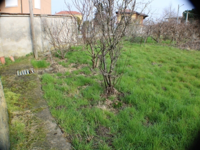 immagine annuncio 5 di 9