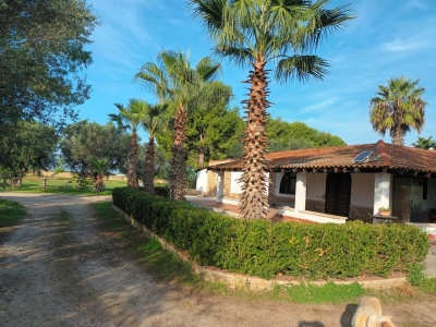 immagine annuncio 5 di 9