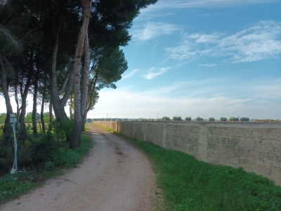 immagine annuncio 3 di 9