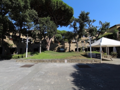 immagine annuncio 3 di 9