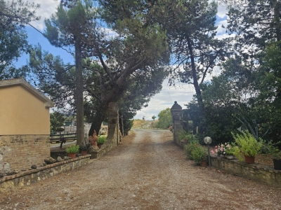 immagine annuncio 2 di 9