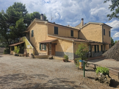 immagine annuncio 4 di 9
