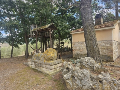 immagine annuncio 3 di 9
