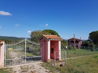 immagine annuncio 1 di 9