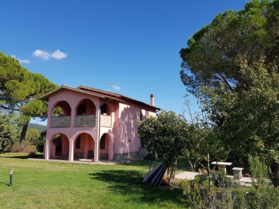 immagine annuncio 2 di 9