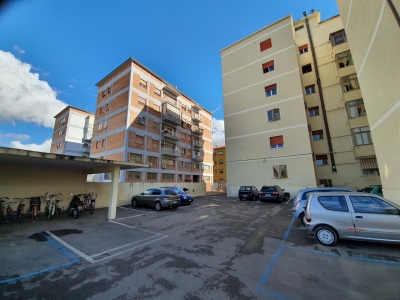 immagine annuncio 3 di 9