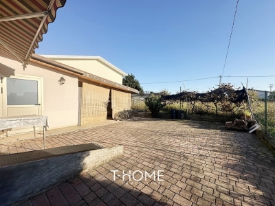 immagine annuncio 2 di 9