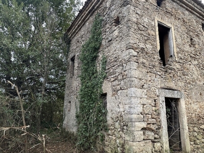 immagine annuncio 4 di 9