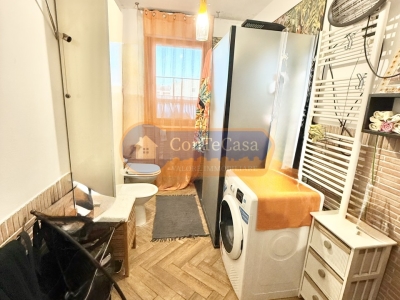 immagine annuncio 3 di 7