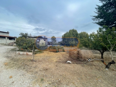 immagine annuncio 3 di 7