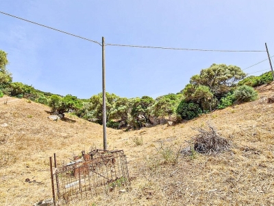 immagine annuncio 7 di 9