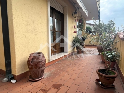 immagine annuncio 3 di 9