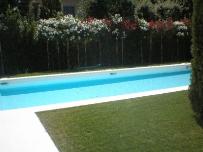 immagine annuncio 5 di 9