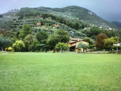 immagine annuncio 7 di 9