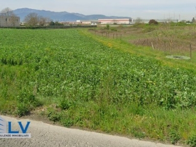 immagine annuncio 1 di 4