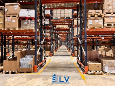 immagine annuncio 6 di 9