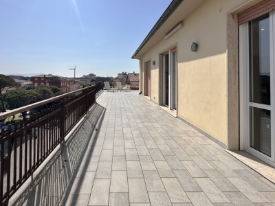 immagine annuncio 5 di 9