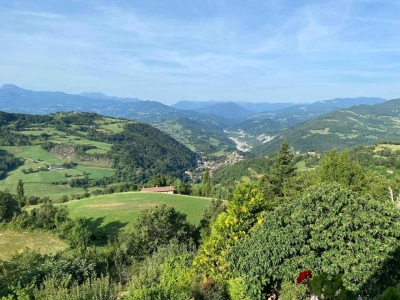 immagine annuncio 5 di 9