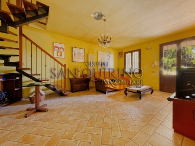 immagine annuncio 5 di 9