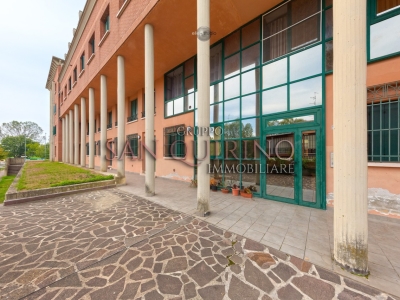 immagine annuncio 2 di 9