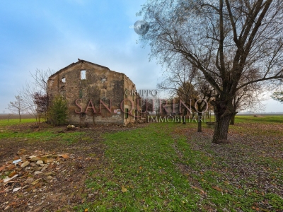 immagine annuncio 4 di 8