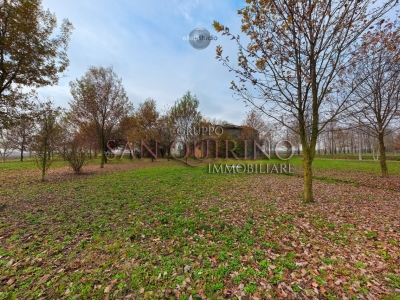 immagine annuncio 2 di 8