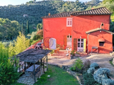 immagine annuncio 3 di 9