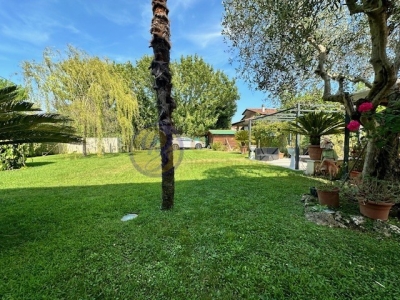 immagine annuncio 4 di 9