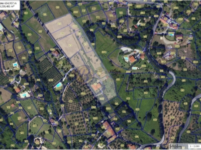 immagine annuncio 7 di 9