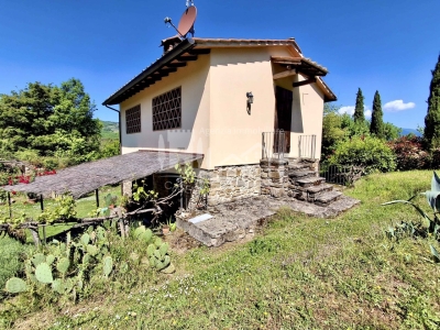 immagine annuncio 6 di 9