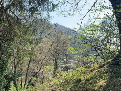 immagine annuncio 7 di 9