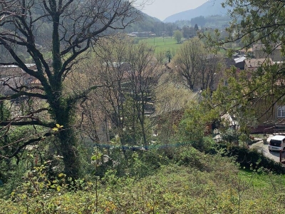 immagine annuncio 4 di 9
