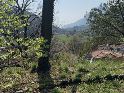 immagine annuncio 5 di 9
