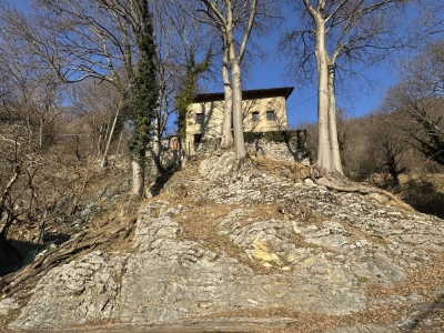 immagine annuncio 2 di 9