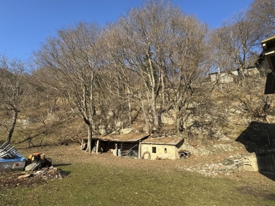 immagine annuncio 6 di 9