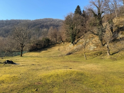 immagine annuncio 4 di 9