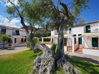 immagine annuncio 2 di 9