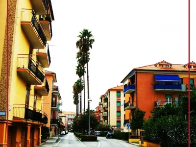 immagine annuncio 5 di 8