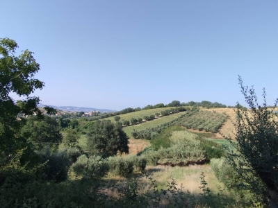 immagine annuncio 1 di 3