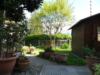 immagine annuncio 3 di 9