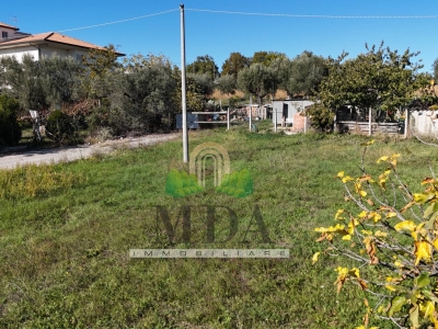 immagine annuncio 7 di 9