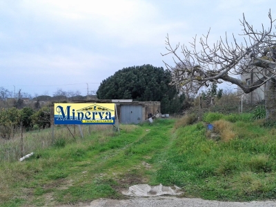 immagine annuncio 5 di 9