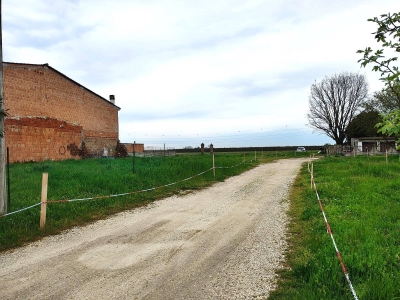 immagine annuncio 1 di 9