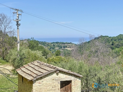 immagine annuncio 4 di 9