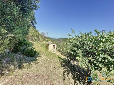 immagine annuncio 3 di 9