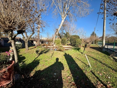 immagine annuncio 3 di 9