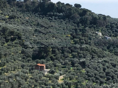 immagine annuncio 8 di 9